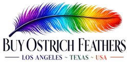 www.BuyOstrichFeathers.com