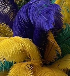 Small Ostrich Feather Plumes 7-10" (Pack Of 50) - Buy Ostrich Feathers