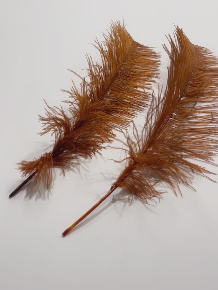 
                  
                    Load and play video in Gallery viewer, Ostrich Feather Spad Plumes 16-20&amp;quot; (Copper)
                  
                