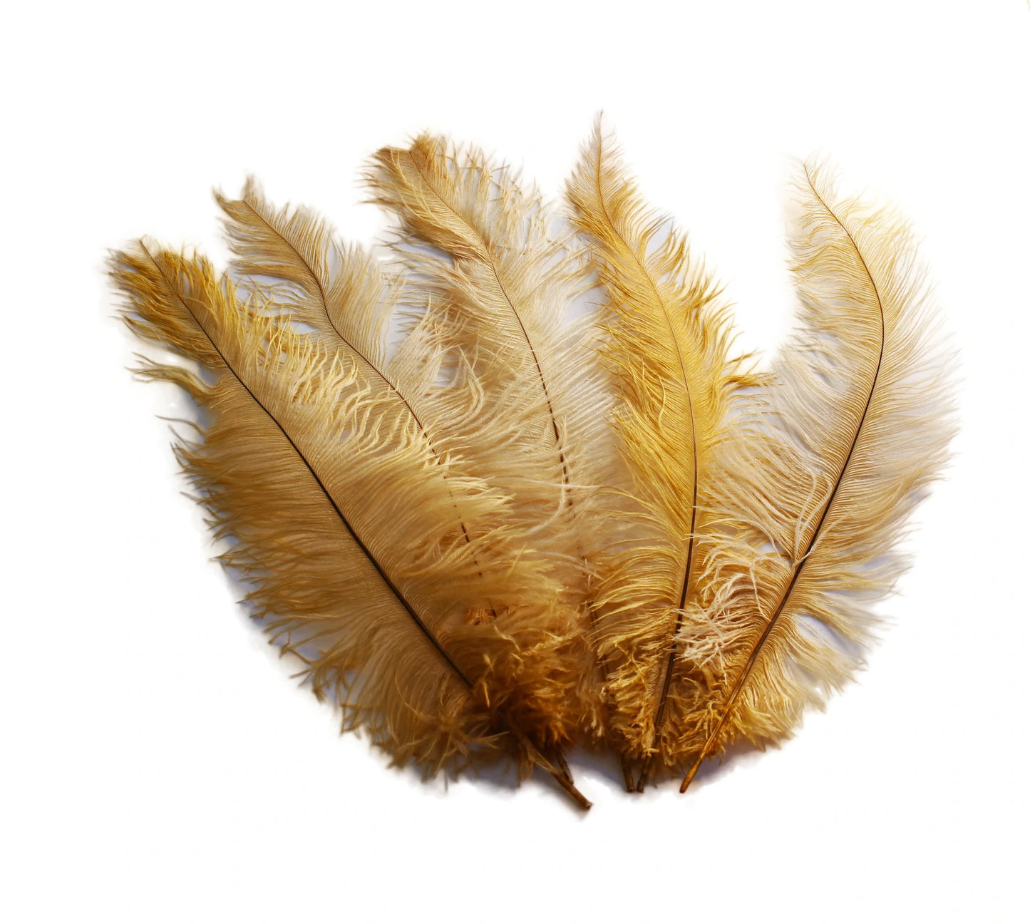 Ostrich Feather Spad Plumes 12-15" (Gold) - Buy Ostrich Feathers