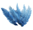 Load image into Gallery viewer, Ostrich Feather Spad Plumes 15-18" (Baby Blue) - Buy Ostrich Feathers
