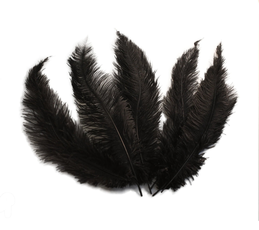 Ostrich Feather Spad Plumes 15-18" (Black) - Buy Ostrich Feathers