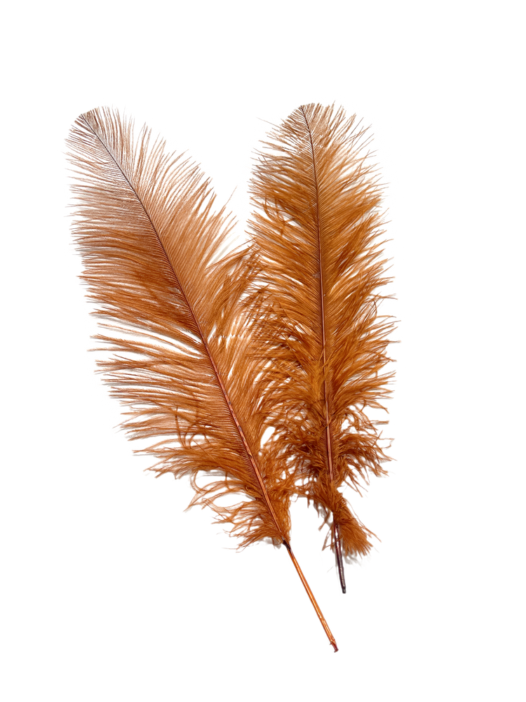 
                  
                    Ostrich Feather Spad Plumes 16-20" (Copper) - Buy Ostrich Feathers
                  
                