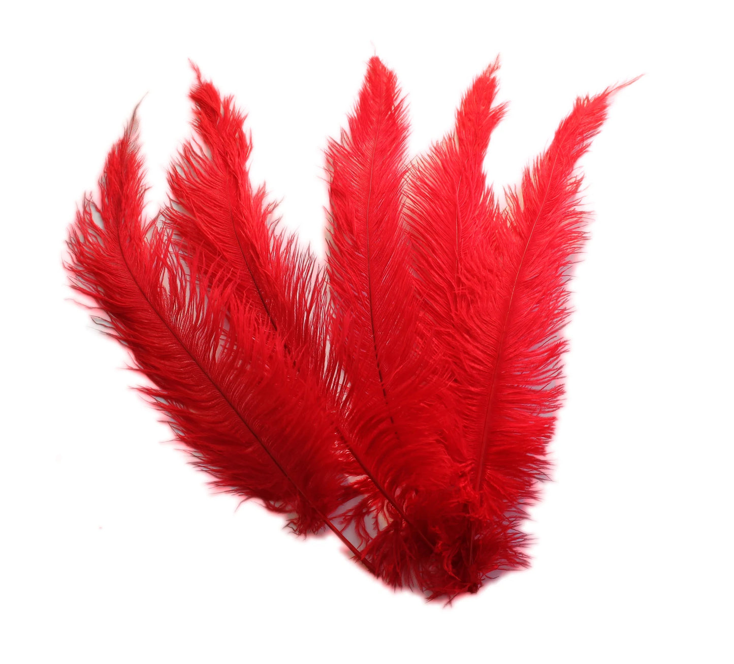 Ostrich Feather Spad Plumes 15-18" (Red) - Buy Ostrich Feathers