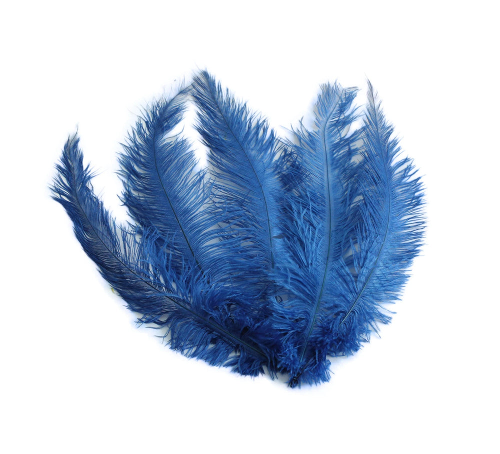 Ostrich Feather Spad Plumes 12-15" (Royal Blue) - Buy Ostrich Feathers