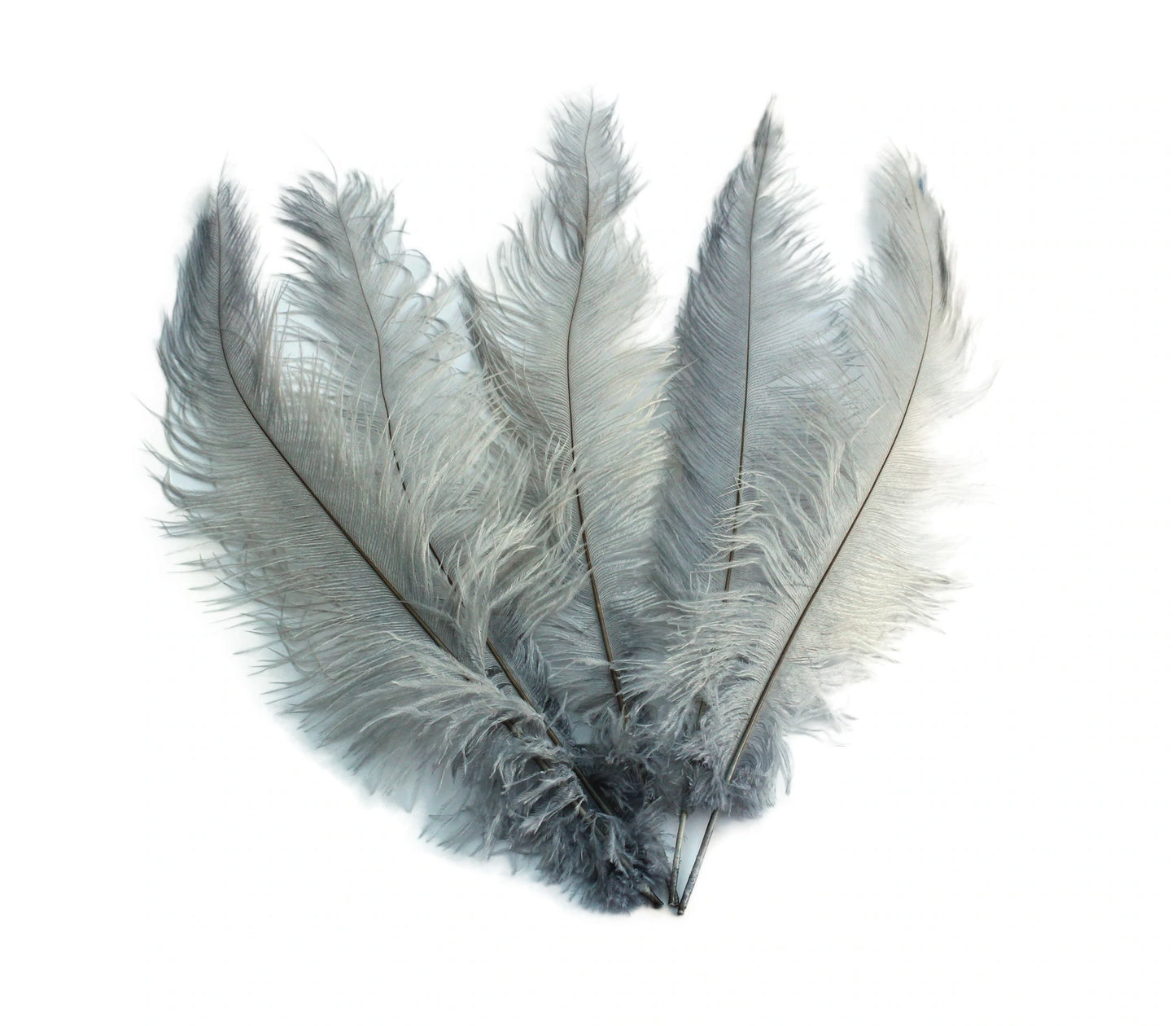 Ostrich Feather Spad Plumes 15-18" (Silver) - Buy Ostrich Feathers