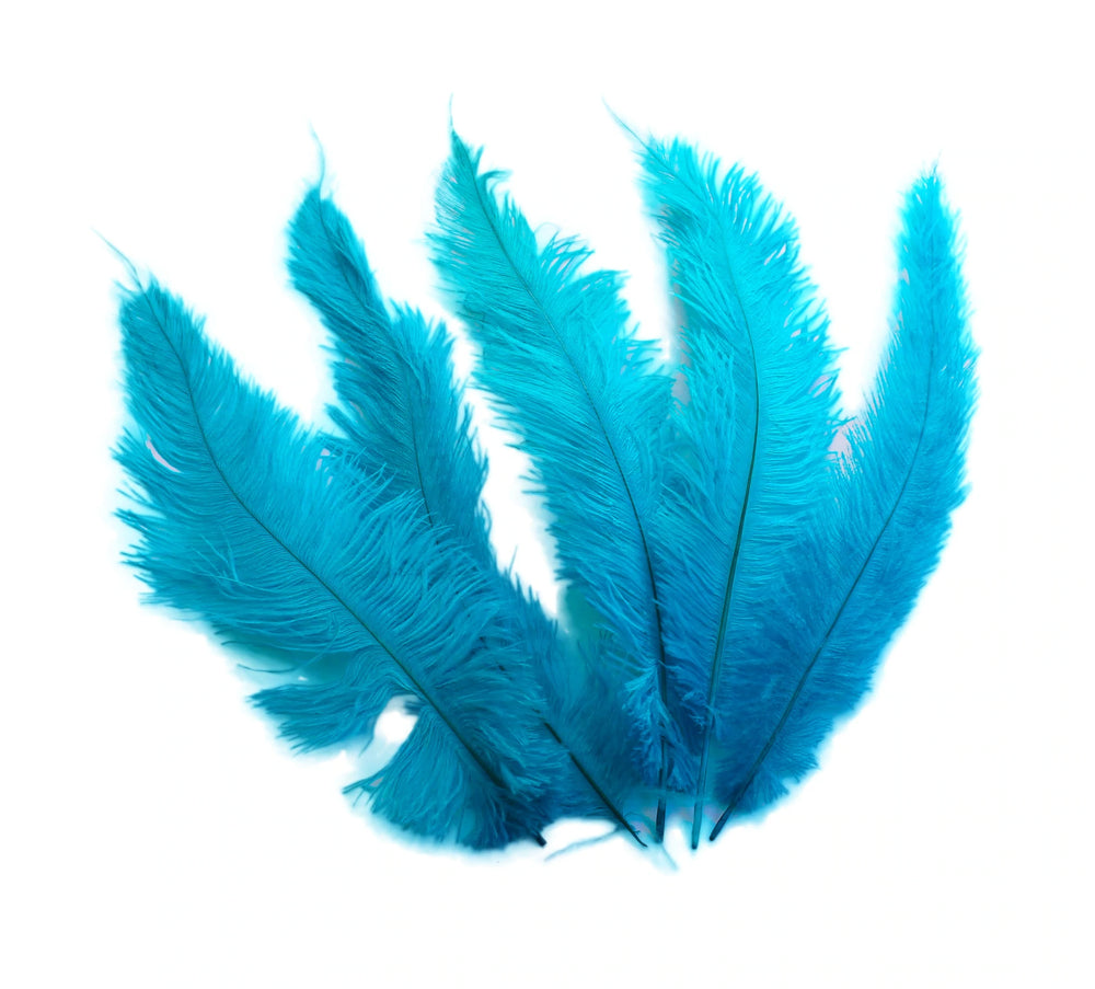 Ostrich Feather Spad Plumes 12-15" (Turquoise) - Buy Ostrich Feathers