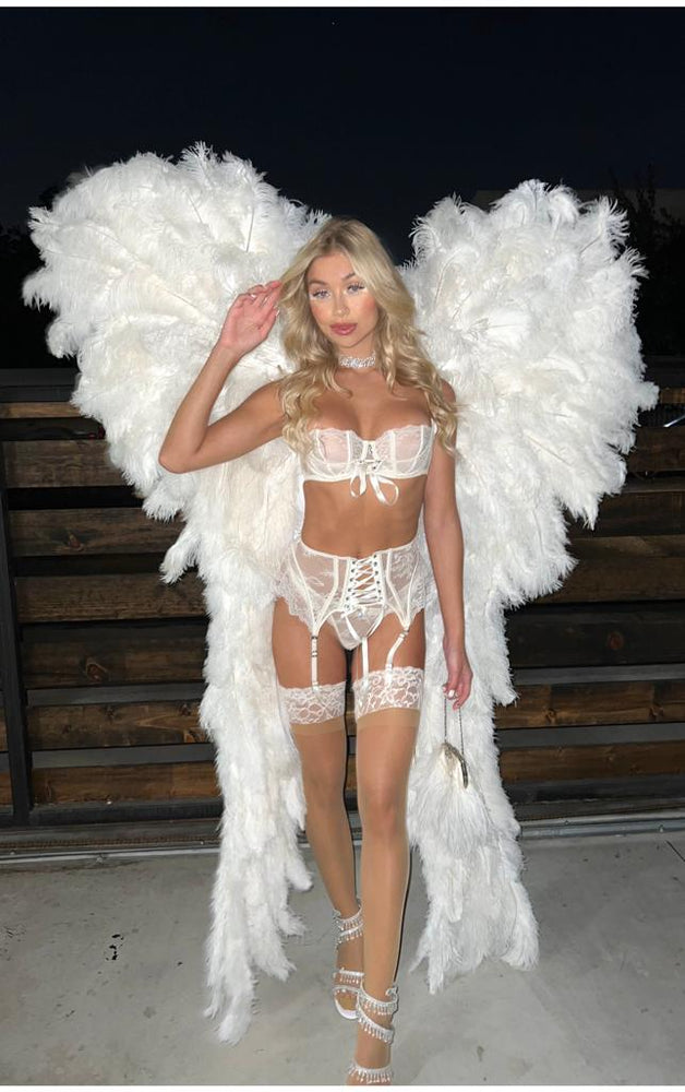 
                  
                    Morgan Avery - Adult Angel Wings - Buy Ostrich Feathers
                  
                