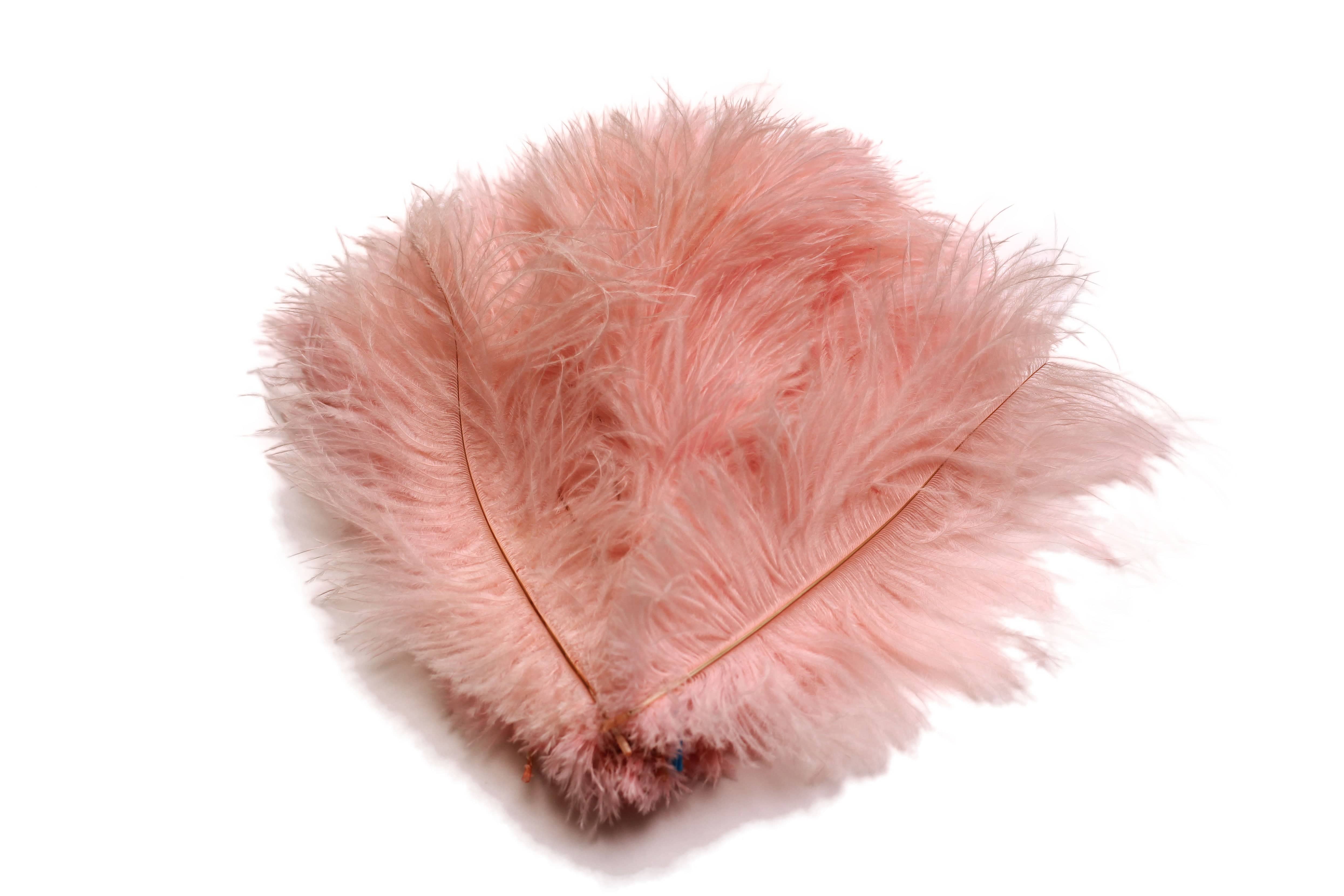 Blush Pink Ostrich Feathers Dyed Feather 15.7-17.7 inches Feathery Craft  for Home Wedding Event D¨¦cor Pack of 10