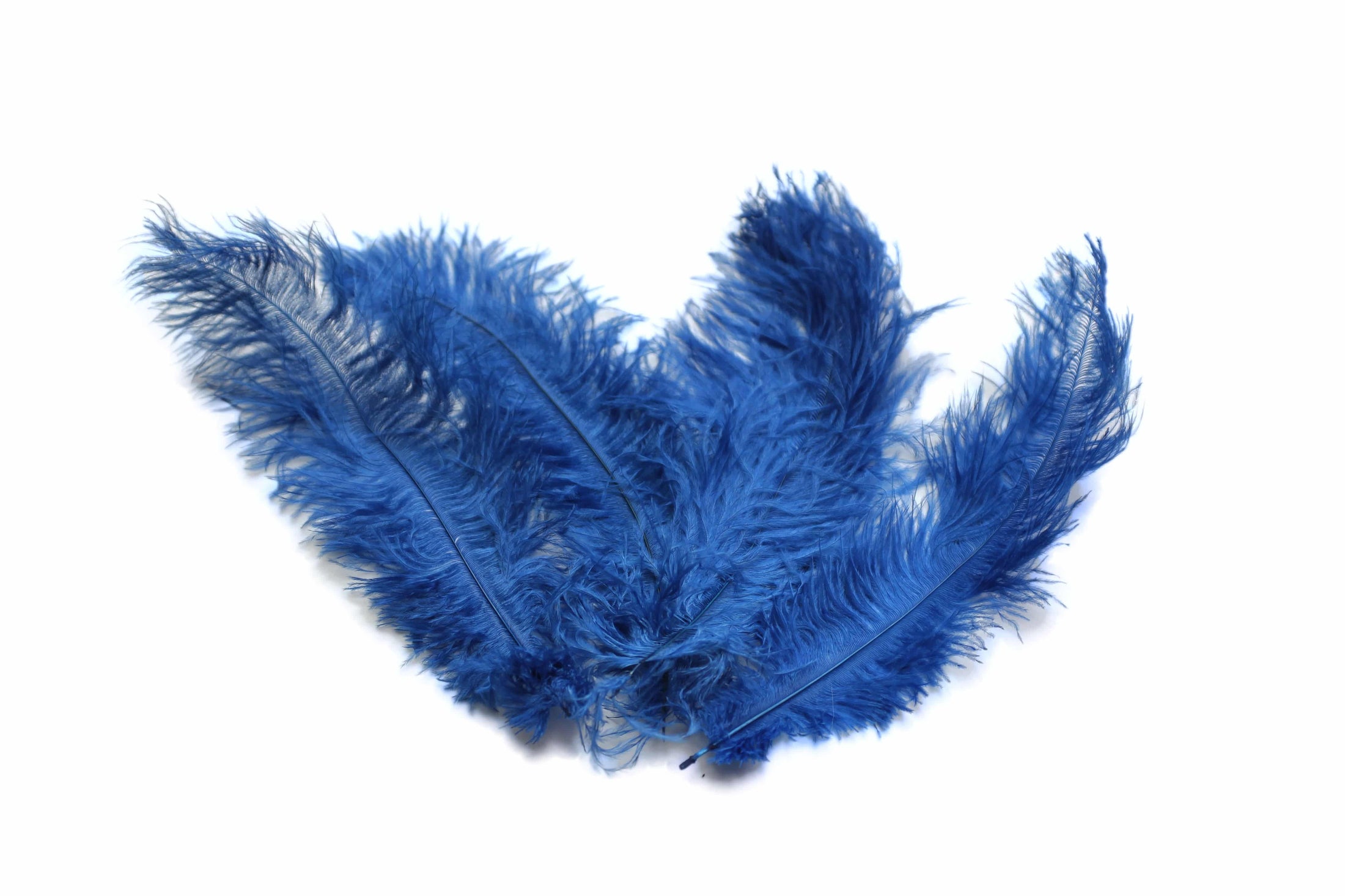 Ostrich Flexible Feathers 13-16" (Royal Blue) - Buy Ostrich Feathers