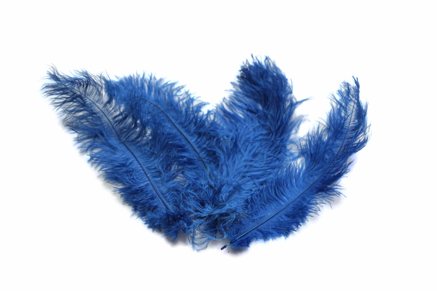 Ostrich Flexible Feathers 9-12" (Royal Blue) - Buy Ostrich Feathers