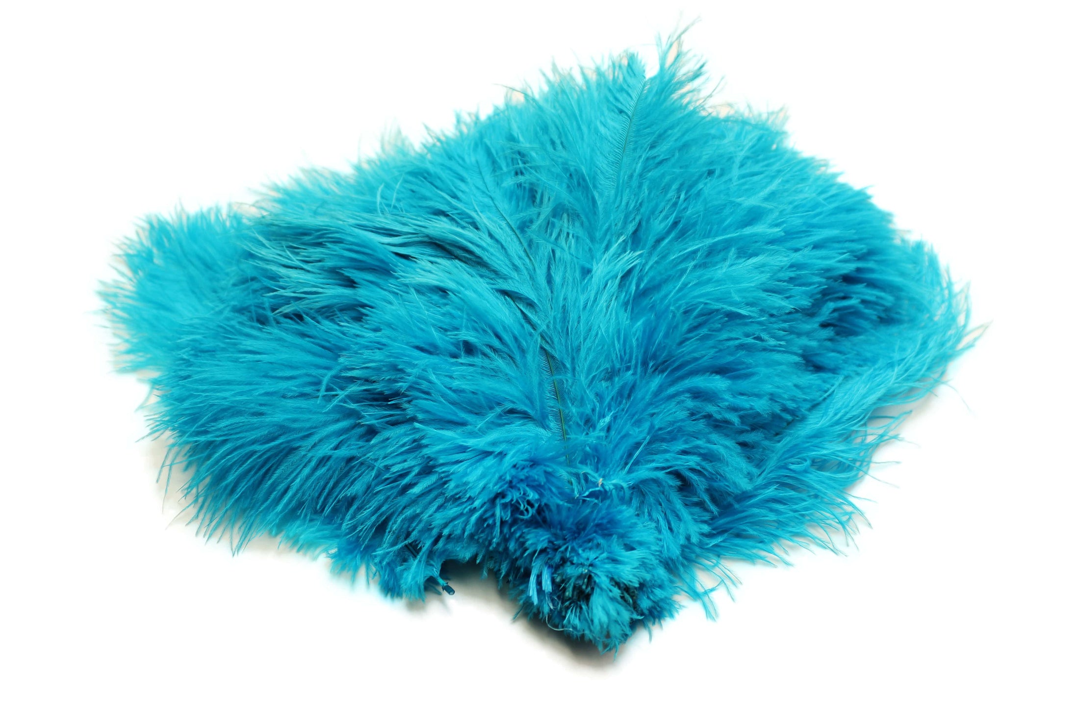 Ostrich Flexible Feathers 9-12" (Turquoise) - Buy Ostrich Feathers