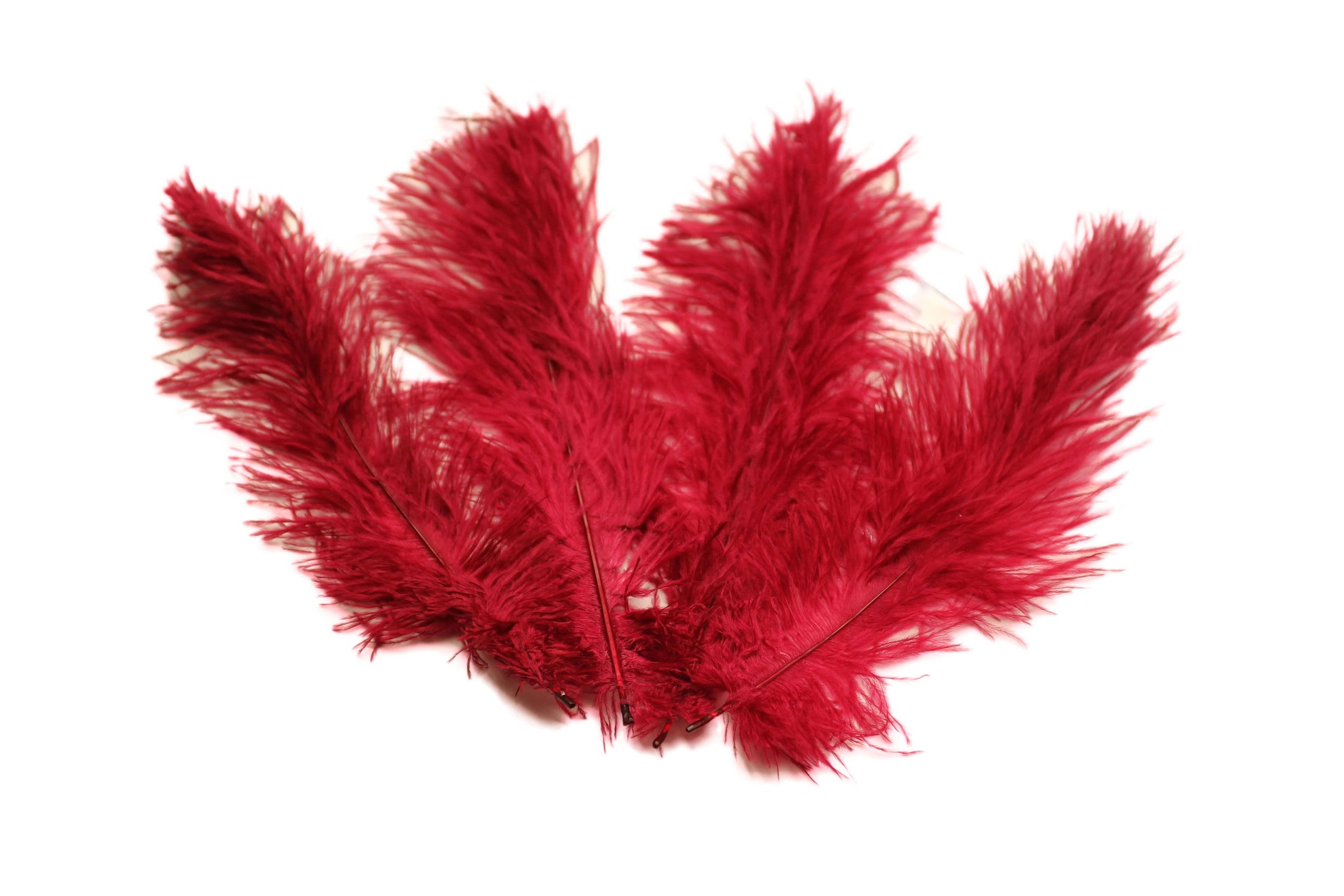 Ostrich Flexible Feathers 13-16" (Burgundy) - Buy Ostrich Feathers