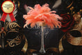 Load image into Gallery viewer, Complete Feather Centerpiece With 16" Vase (Apricot) - Buy Ostrich Feathers
