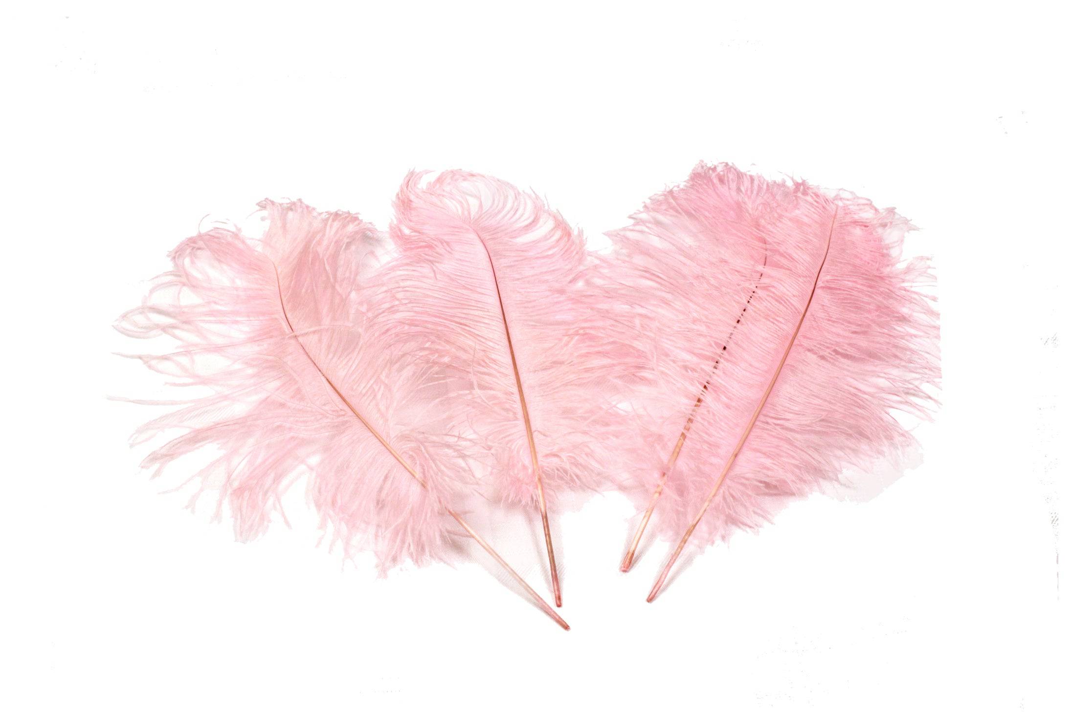 Complete Feather Centerpiece With 16" Vase (Baby Pink) - Buy Ostrich Feathers