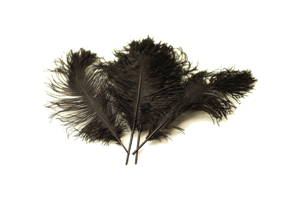 Efavormart 12PCS 13-15 Fabulous Natural Ostrich Feathers Plume for  Wedding Centerpieces Home Decoration - Black 
