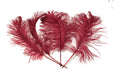 Load image into Gallery viewer, Complete Feather Centerpiece With 16" Vase (Burgundy) - Buy Ostrich Feathers
