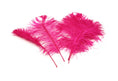 Load image into Gallery viewer, Complete Feather Centerpiece With 16" Vase (Fuschia) - Buy Ostrich Feathers
