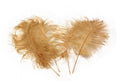 Load image into Gallery viewer, Complete Feather Centerpiece With 16" Vase (Gold) - Buy Ostrich Feathers
