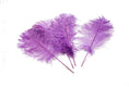 Load image into Gallery viewer, Complete Feather Centerpiece With 16" Vase (Lavender) - Buy Ostrich Feathers
