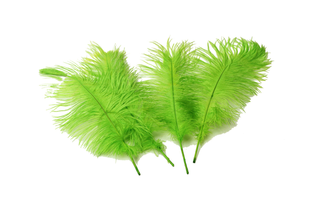 
                  
                    Complete Feather Centerpiece With 16" Vase (Lime Green) - Buy Ostrich Feathers
                  
                