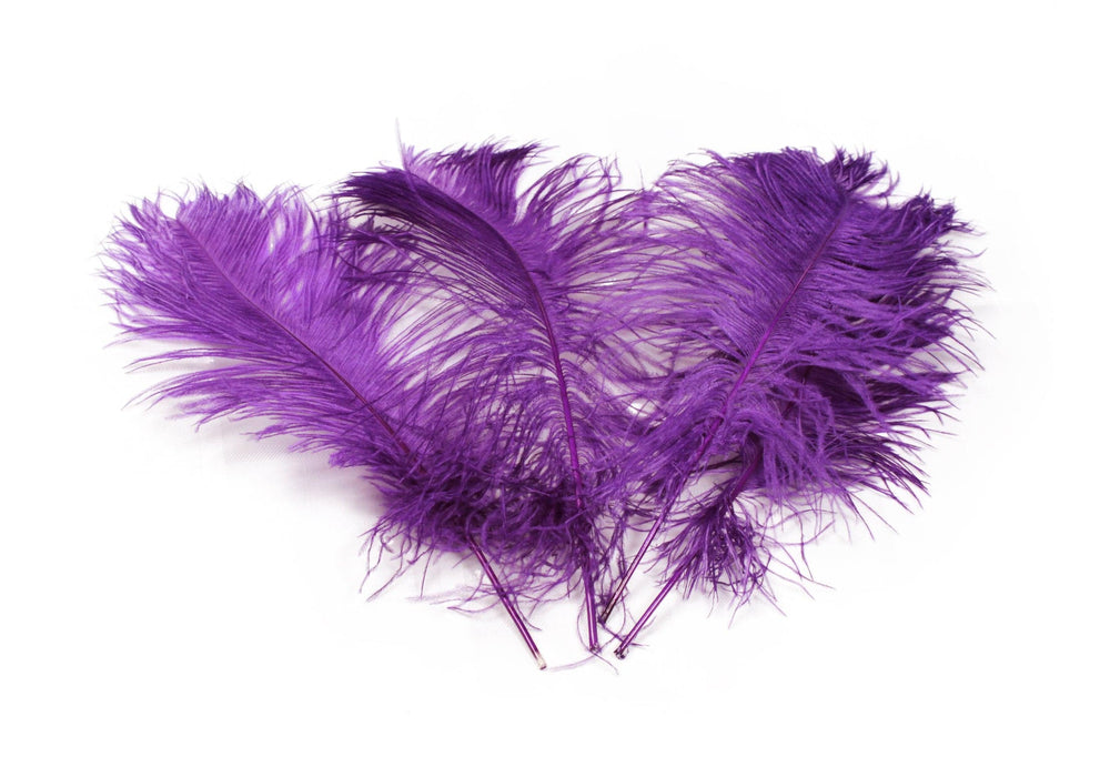 
                  
                    Complete Feather Centerpiece With 16" Vase (Purple) - Buy Ostrich Feathers
                  
                