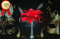 Load image into Gallery viewer, Complete Feather Centerpiece With 16" Vase (Red) - Buy Ostrich Feathers
