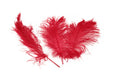 Load image into Gallery viewer, Complete Feather Centerpiece With 16" Vase (Red) - Buy Ostrich Feathers
