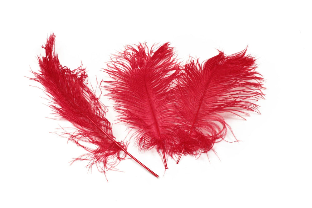 
                  
                    Complete Feather Centerpiece With 16" Vase (Red) - Buy Ostrich Feathers
                  
                