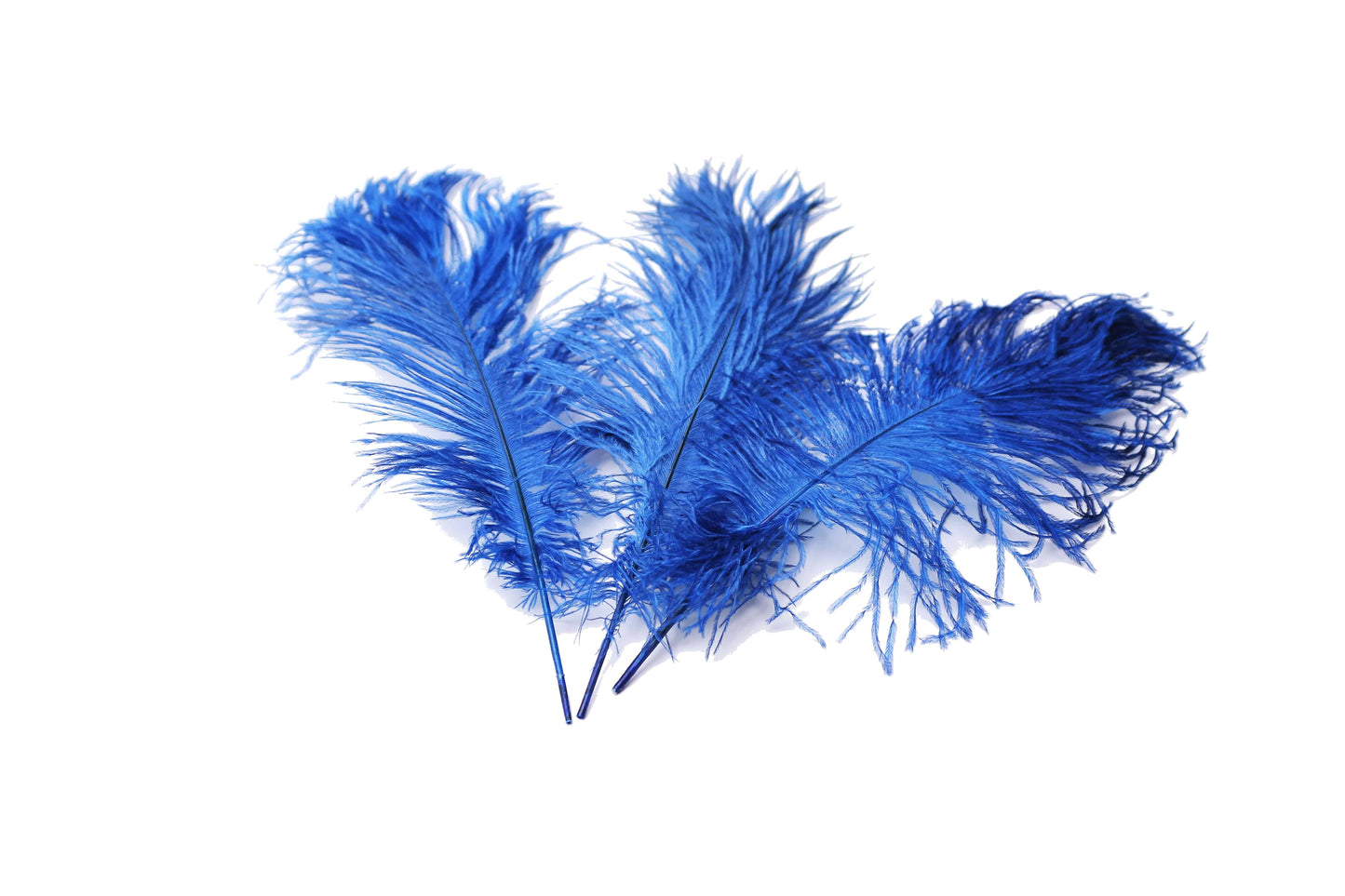 Premium Photo  A photo of a stunning arrangement of blue feathers
