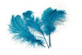 Load image into Gallery viewer, Complete Feather Centerpiece With 16" Vase (Turquoise) - Buy Ostrich Feathers
