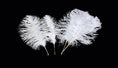 Load image into Gallery viewer, Complete Feather Centerpiece With 16" Vase (White) - Buy Ostrich Feathers
