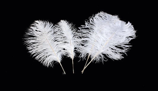 Complete Feather Centerpiece With 16" Vase (White) - Buy Ostrich Feathers