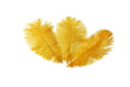 Load image into Gallery viewer, Complete Feather Centerpiece With 16" Vase (Yellow) - Buy Ostrich Feathers
