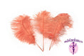 Load image into Gallery viewer, Complete Feather Centerpiece With 20" Vase (Apricot) - Buy Ostrich Feathers
