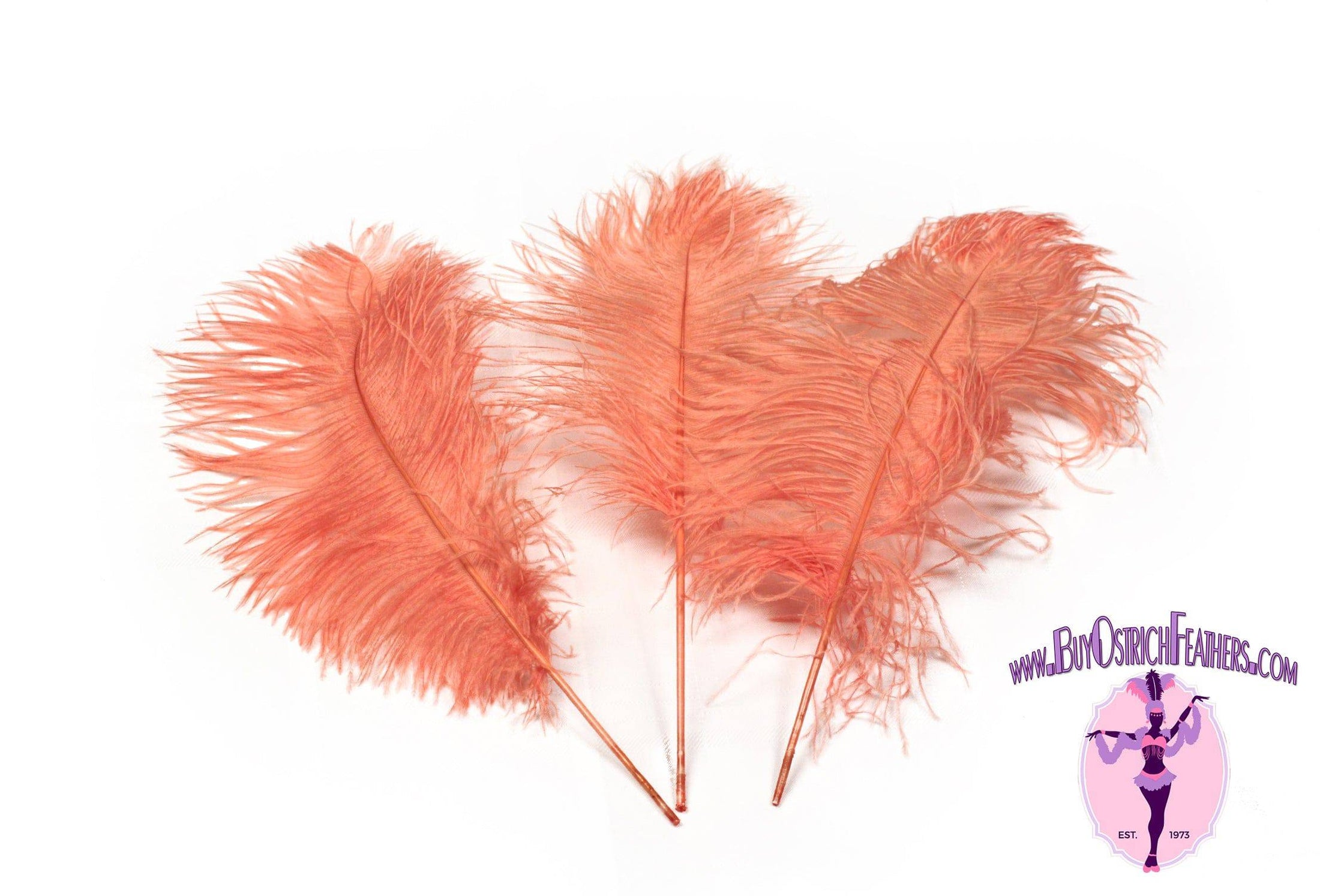 Complete Feather Centerpiece With 20" Vase (Apricot) - Buy Ostrich Feathers