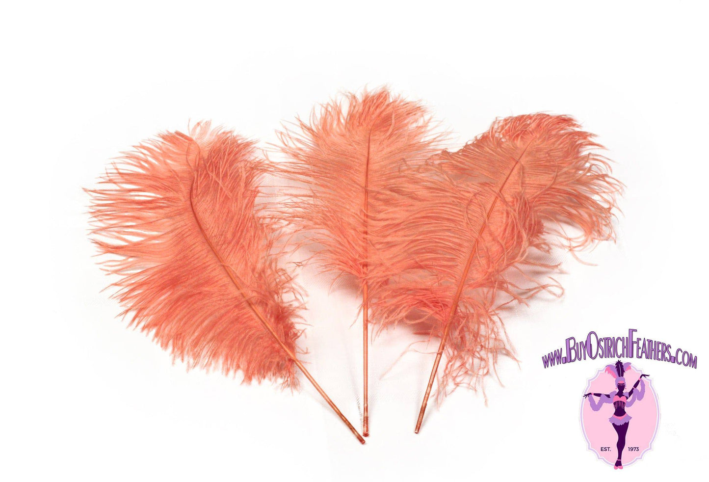 
                  
                    Complete Feather Centerpiece With 20" Vase (Apricot) - Buy Ostrich Feathers
                  
                