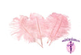 Load image into Gallery viewer, Complete Feather Centerpiece With 20" Vase (Baby Pink) - Buy Ostrich Feathers
