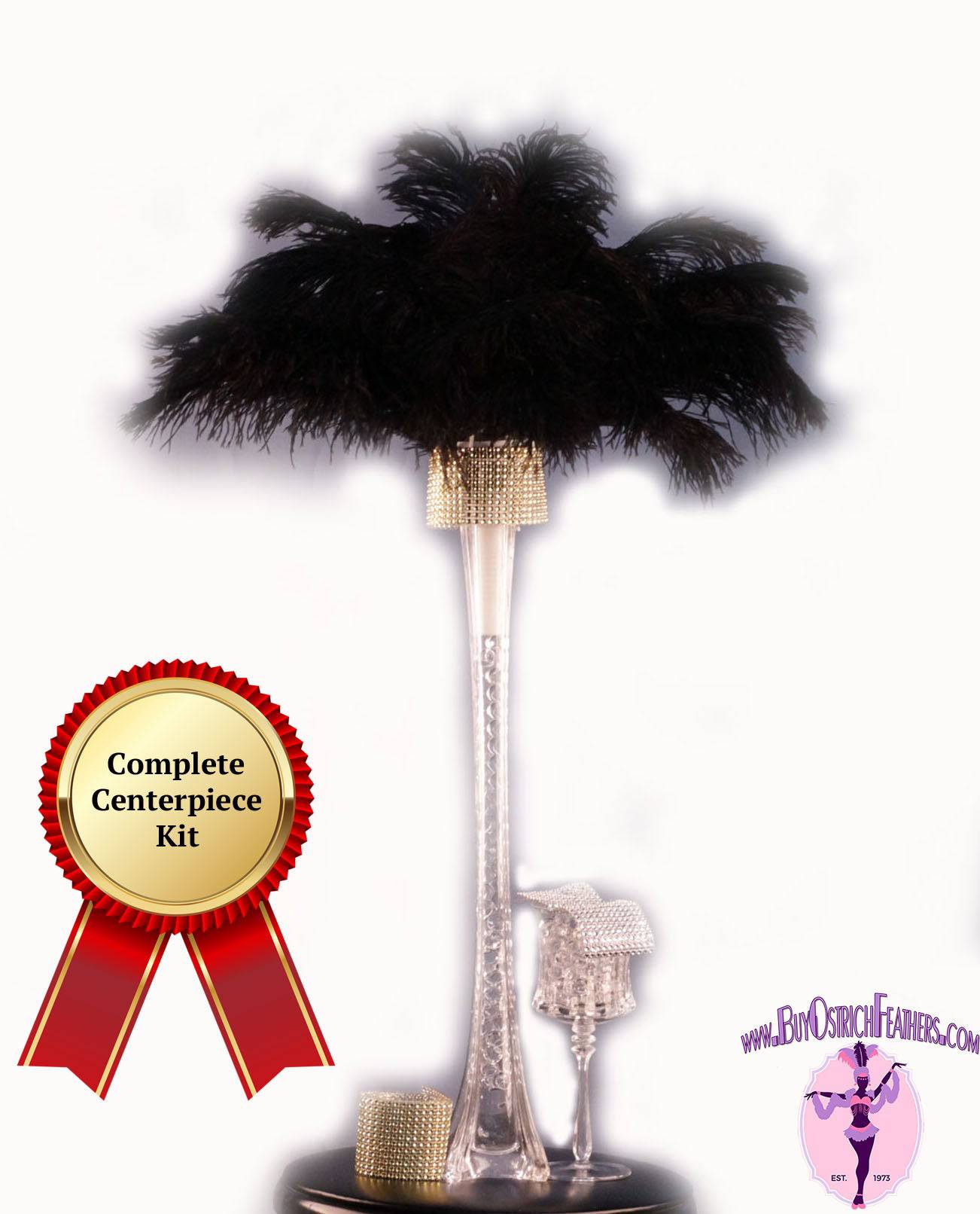 Complete Feather Centerpiece With 20" Vase (Black) - Buy Ostrich Feathers