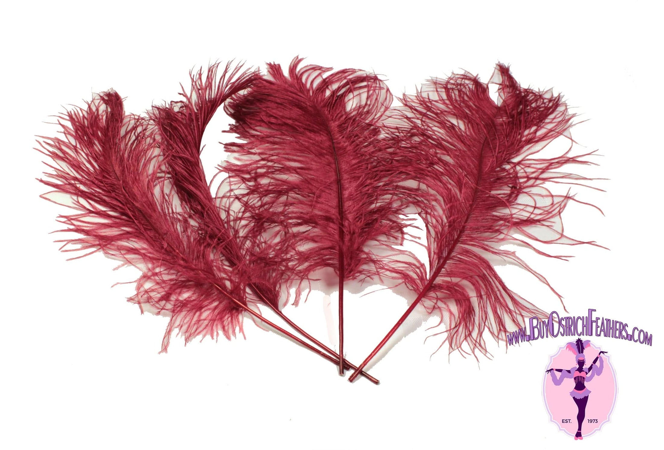 Complete Feather Centerpiece With 20" Vase (Burgundy) - Buy Ostrich Feathers