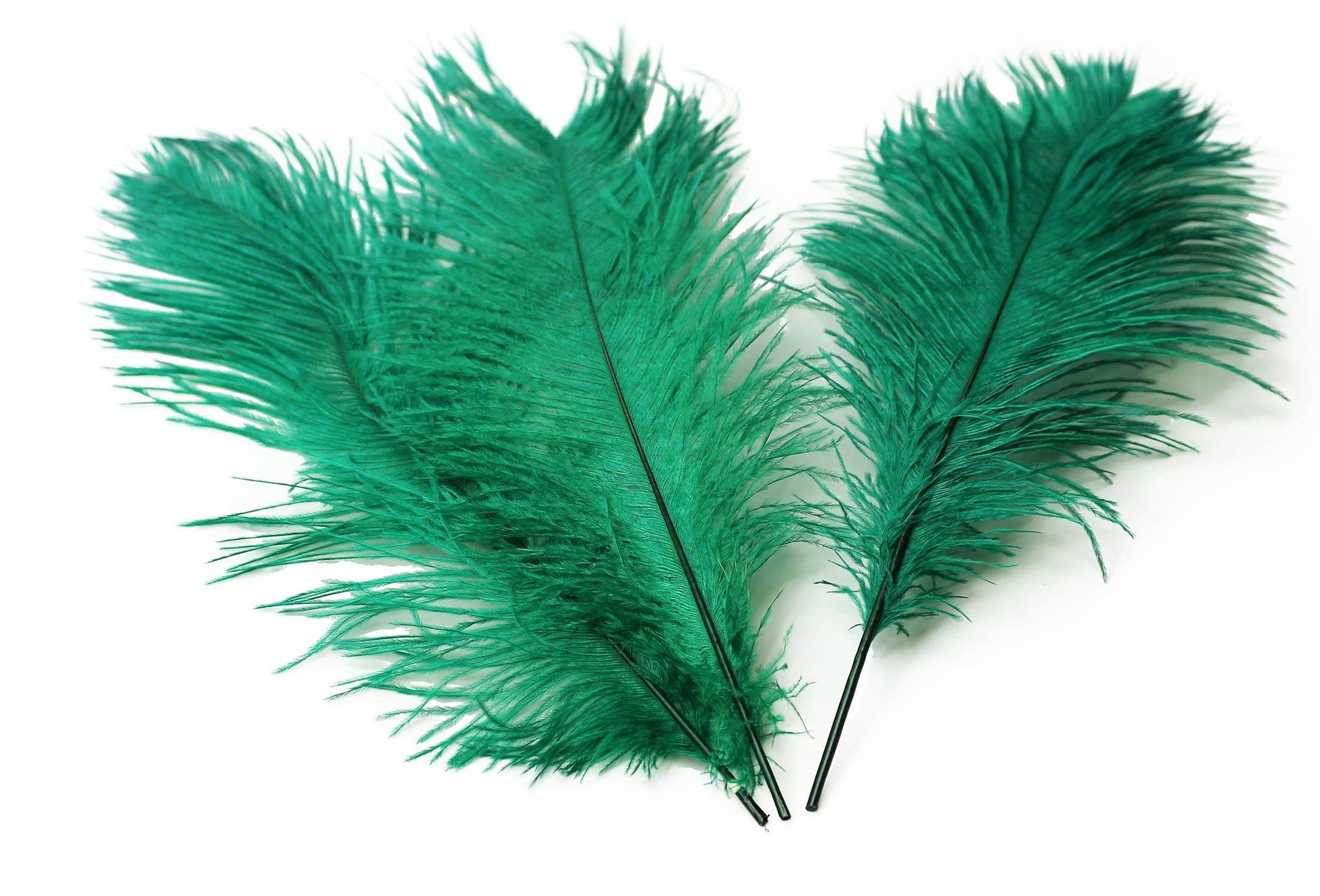 Complete Feather Centerpiece With 20" Vase (Emerald Green) - Buy Ostrich Feathers