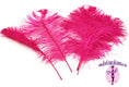 Load image into Gallery viewer, Complete Feather Centerpiece With 20" Vase (Fuschia) - Buy Ostrich Feathers
