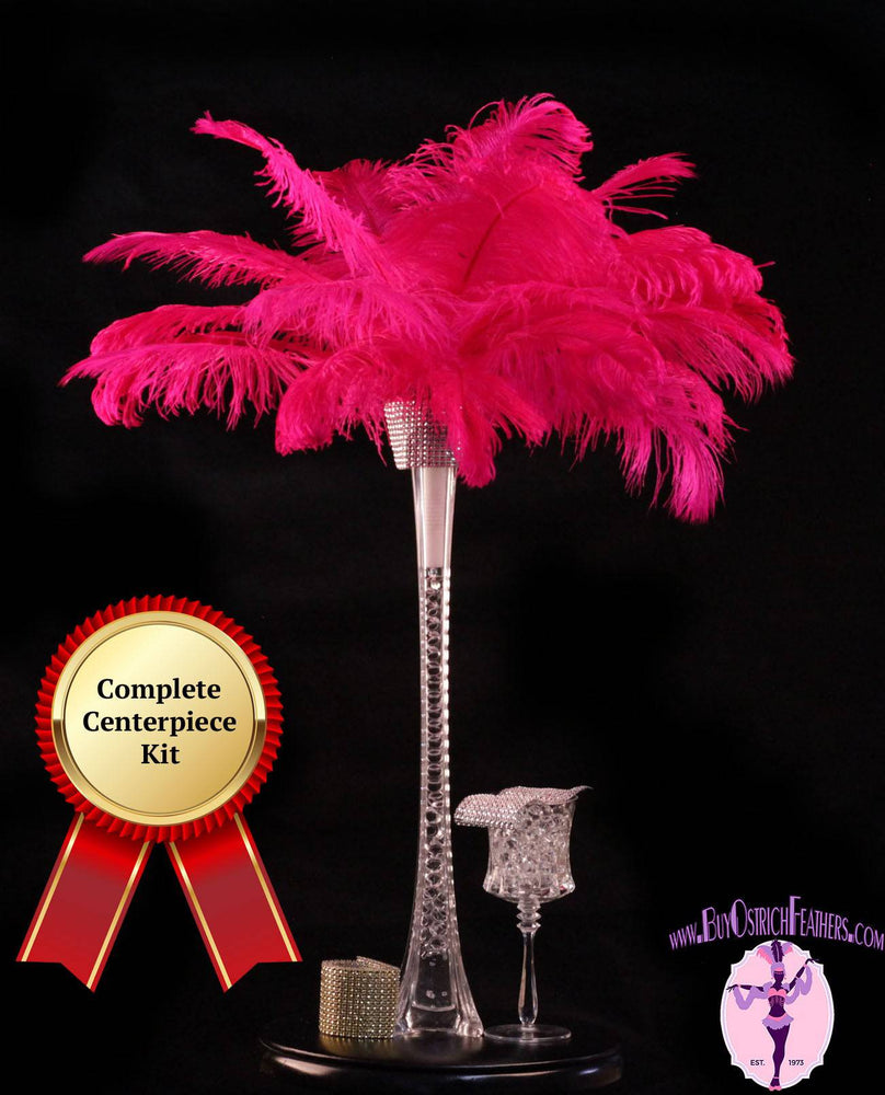 Complete Feather Centerpiece With 20" Vase (Fuschia) - Buy Ostrich Feathers