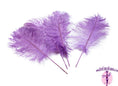 Load image into Gallery viewer, Complete Feather Centerpiece With 20" Vase (Lavender) - Buy Ostrich Feathers
