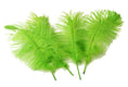 Load image into Gallery viewer, Complete Feather Centerpiece With 20" Vase (Lime Green) - Buy Ostrich Feathers
