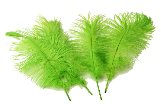 Complete Feather Centerpiece With 20" Vase (Lime Green) - Buy Ostrich Feathers