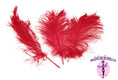 Load image into Gallery viewer, Complete Feather Centerpiece With 20" Vase (Red) - Buy Ostrich Feathers
