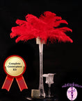 Load image into Gallery viewer, Complete Feather Centerpiece With 20" Vase (Red) - Buy Ostrich Feathers
