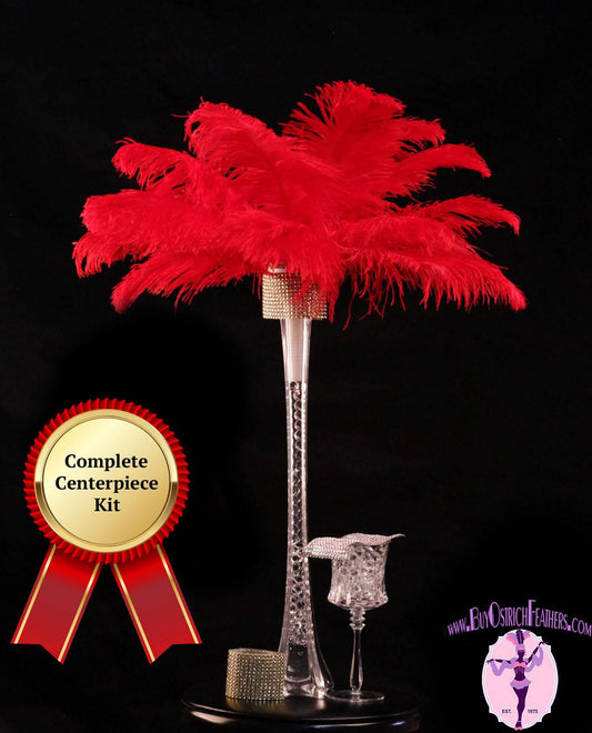 Complete Feather Centerpiece With 20" Vase (Red) - Buy Ostrich Feathers