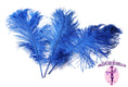 Load image into Gallery viewer, Complete Feather Centerpiece With 20" Vase (Royal Blue) - Buy Ostrich Feathers
